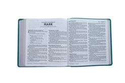 NASB 1995 XL Bible, Comfort Print–Soft Leather-look, Teal -Cheap Book Store 208 0058 4