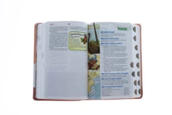 NIRV Adventure Bible For Early Readers Pink With Llamas -Cheap Book Store 209 0059 3