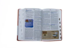 NIRV Adventure Bible For Early Readers Pink With Llamas -Cheap Book Store 209 0059 4