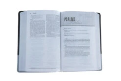 NIV Couples Devotional Bible-Chocolate/Silver Duo-Tone -Cheap Book Store 210 0160 3