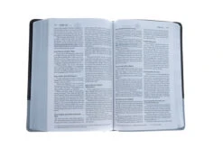 NIV Couples Devotional Bible-Chocolate/Silver Duo-Tone -Cheap Book Store 210 0160 6