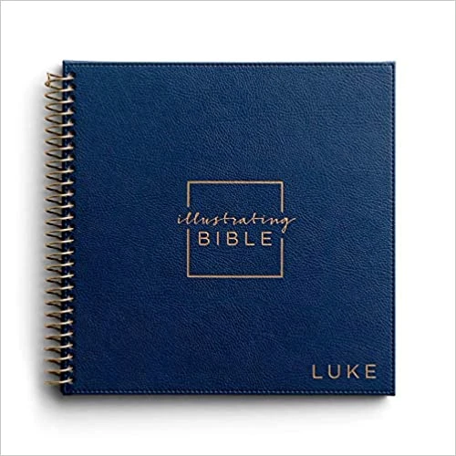 NIV Illustrating Bible: Book Of Luke DaySpring 3 NIV Illustrating Bible: Book Of Luke DaySpring