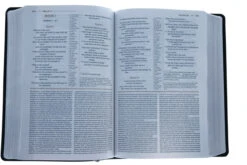 NIV Grace And Truth Study Bible, European Bonded Leather -Cheap Book Store 210 0309 3