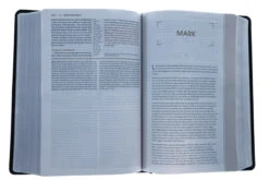 NIV Grace And Truth Study Bible, European Bonded Leather -Cheap Book Store 210 0309 4