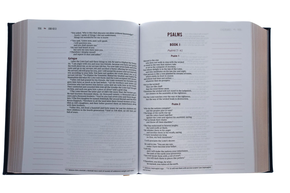 NIV, Our Family Story Bible, Leathersoft Over Board, Navy, 5 NIV, Our Family Story Bible, Leathersoft Over Board, Navy, - Image 3