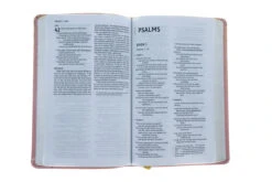 NIV, Bible For Teens, Thinline Edition, Leathersoft, Pink -Cheap Book Store 210 0531 3