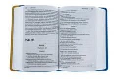 NIV Giant-Print Compact Bible For Boys, Leather-look, Blue/Yellow -Cheap Book Store 210 0577 3 2