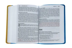 NIV Giant-Print Compact Bible For Boys, Leather-look, Blue/Yellow -Cheap Book Store 210 0577 4 2