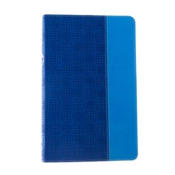 NIV Adventure Bible, Imitation Leather