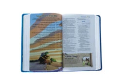 NIV Adventure Bible, Imitation Leather -Cheap Book Store 210 0608 3