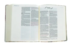 NIV Artisan Collection Bible Multi-Color/Cream -Cheap Book Store 210 0609 4