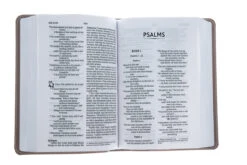 NIV Larger Print Compact Leathersoft Pink Bible -Cheap Book Store 210 0611 3 1