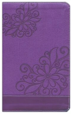 NIV Bible For Kids Purple Leathersoft