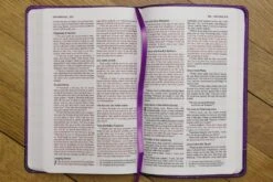 NIV Bible For Kids Purple Leathersoft -Cheap Book Store 210 0612 2
