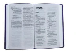 NIV Bible For Kids Purple Leathersoft -Cheap Book Store 210 0612 4