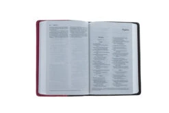 NIV Compact Bible Chocolate / Hot Pink -Cheap Book Store 210 0613 2