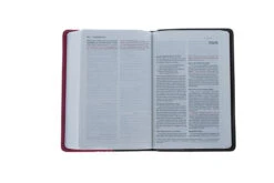 NIV Compact Bible Chocolate / Hot Pink -Cheap Book Store 210 0613 3