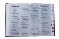 NIV Super Giant Print Reference Bible, Leathersoft, Pink -Cheap Book Store 210 0615 3