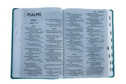 NIV Super Giant Print Reference Bible, Leathersoft, Teal -Cheap Book Store 210 0616 7