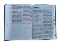 NIV Super Giant Print Reference Bible, Leathersoft, Teal -Cheap Book Store 210 0616 8
