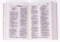 NIV Heart Of The Outdoors Bible -Cheap Book Store 210 0618 1