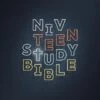NIV Teen Study Bible, Paperback -Cheap Book Store 210 0621 0