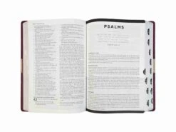 NIV Life Application Study Bible -Cheap Book Store 210 0644 1 scaled 1