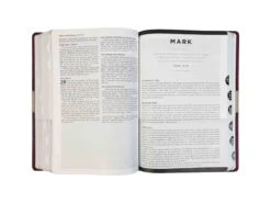 NIV Life Application Study Bible -Cheap Book Store 210 0644 2 scaled 1