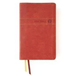 NIV Men’s Devotional Bible, Leathersoft Brown