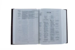 NKJV, Thompson Chain-Reference Bible, Hardcover, Red Letter -Cheap Book Store 211 0211 2