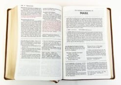 NKJV Foundation Study Bible, Large Print – Brown -Cheap Book Store 211 0239 2