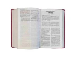 NKJV – Foundation Study Bible Coral Leathersoft -Cheap Book Store 211 0249 2 scaled 1
