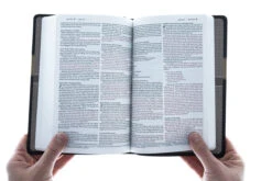 NLT2 Premium Gift Bible-Tan/Brown TuTone -Cheap Book Store 212 0003 4 1