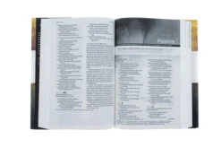 NLT New Believer’s Bible Hardcover -Cheap Book Store 212 0031 1 1