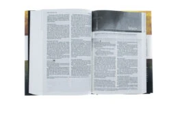 NLT New Believer’s Bible Hardcover -Cheap Book Store 212 0031 3 1