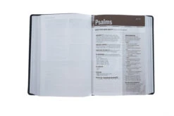 NLT Every Man’s Bible -Large Print Imitation Leather, Black/Onyx -Cheap Book Store 212 0033 4