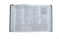 NLT Every Man’s Bible -Large Print Imitation Leather, Black/Onyx -Cheap Book Store 212 0033 5