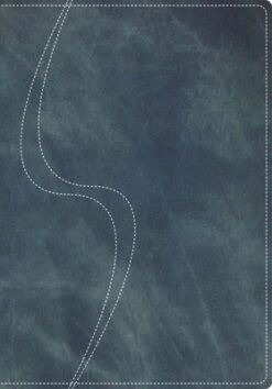 A Young Woman After God’s Own Heart(r) Bible