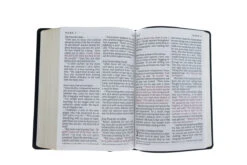NLT2 Giant Print Bible-Black Bonded Leather Indexed -Cheap Book Store 212 0057 5