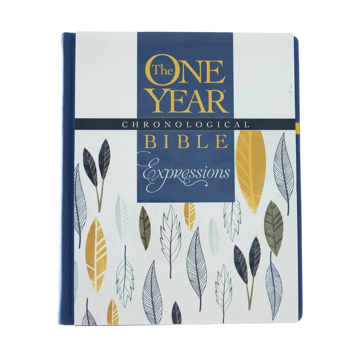 NLT2 One Year Chronological Bible Creative Expressions -Deluxe Blue Hardcover 4 NLT2 One Year Chronological Bible Creative Expressions -Deluxe Blue Hardcover - Image 2
