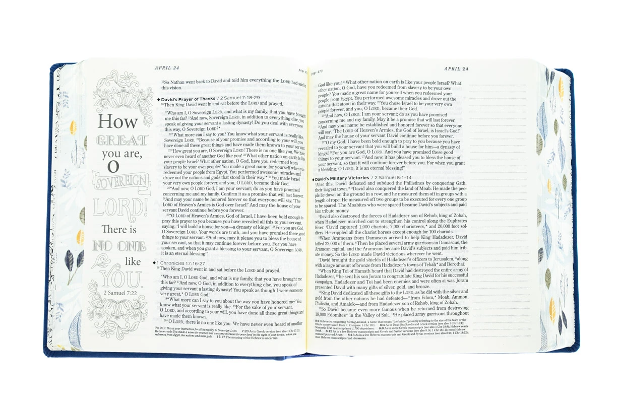 NLT2 One Year Chronological Bible Creative Expressions -Deluxe Blue Hardcover 5 NLT2 One Year Chronological Bible Creative Expressions -Deluxe Blue Hardcover - Image 3