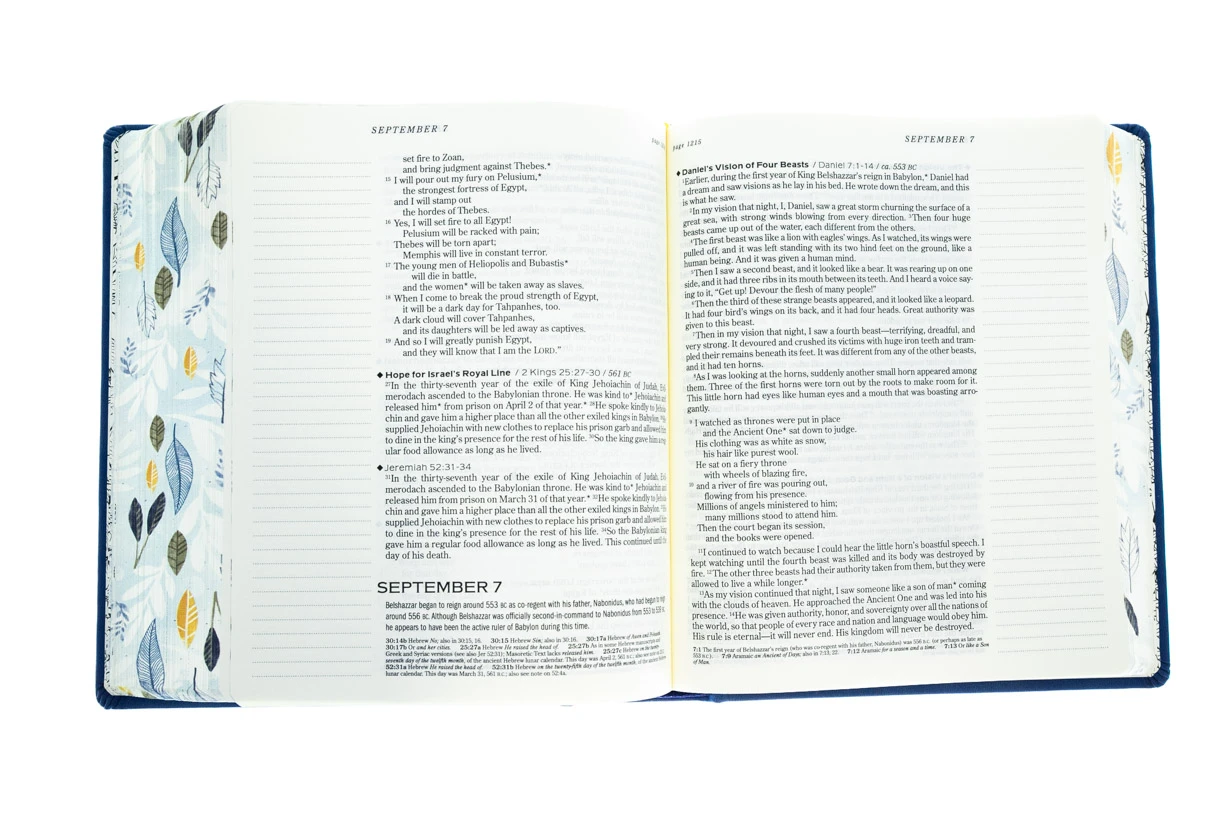 NLT2 One Year Chronological Bible Creative Expressions -Deluxe Blue Hardcover 6 NLT2 One Year Chronological Bible Creative Expressions -Deluxe Blue Hardcover - Image 4