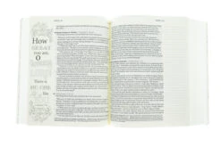 NLT2 One Year Chronological Bible Creative Expressions -Softcover -Cheap Book Store 212 0149 2