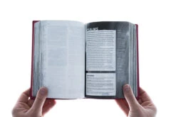 NLT Teen Life Application Study Bible, Compact Edition -Cheap Book Store 212 0182 3 1