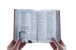 NLT Teen Life Application Study Bible, Compact Edition -Cheap Book Store 212 0182 4 1