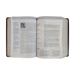 NLT Life Application Study Bible Large Print Brown Imitation Leather -Cheap Book Store 212 0186 2 1