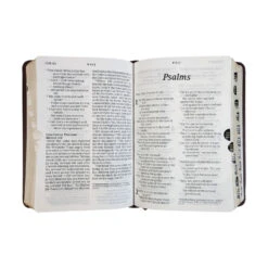 NLT Compact Giant Print Bible, -Cheap Book Store 212 0192 3