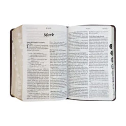 NLT Compact Giant Print Bible, -Cheap Book Store 212 0192 4