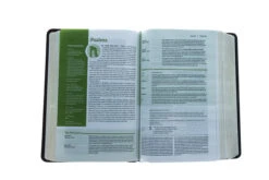 NLT Life Application Study Bible, Third Edition, Personal Size LeatherLike, 11 NLT Life Application Study Bible, Third Edition, Personal Size LeatherLike, -Cheap Book Store 212 1157 4