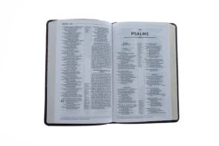NRSV, Thinline Reference Bible, Leathersoft, Burgundy -Cheap Book Store 213 0015 3